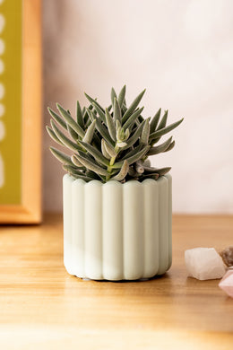 Maceta Poli Resina Acanalada Chica