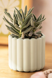 Maceta Poli Resina Acanalada Chica