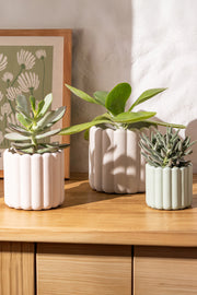 Maceta Poli Resina Acanalada Grande