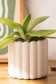 Maceta Poli Resina Acanalada Grande