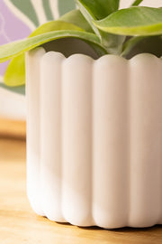 Set x3 Macetas de Poli Resina