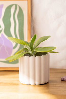 Maceta Poli Resina Acanalada Grande