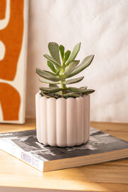 Maceta Poli Resina Acanalada Mediana