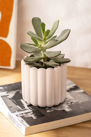 Maceta Poli Resina Acanalada Mediana