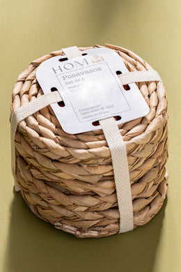 Setx6 Posa Vasos de 10cm Fibra de Maíz